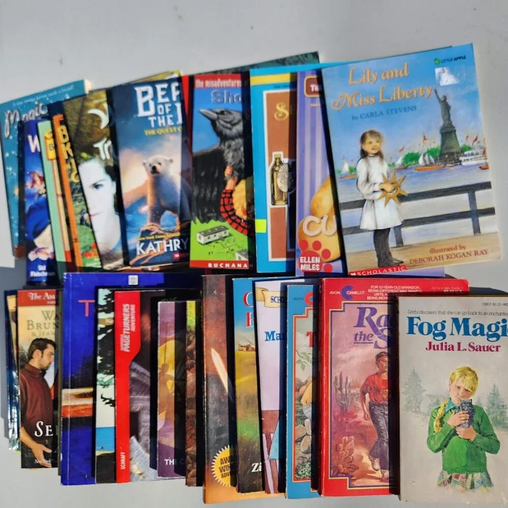 4 Book Bundle Lot Set Chapter Books Young Adult Literature Novels Mystery Books